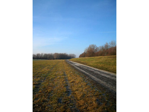 Foto 30